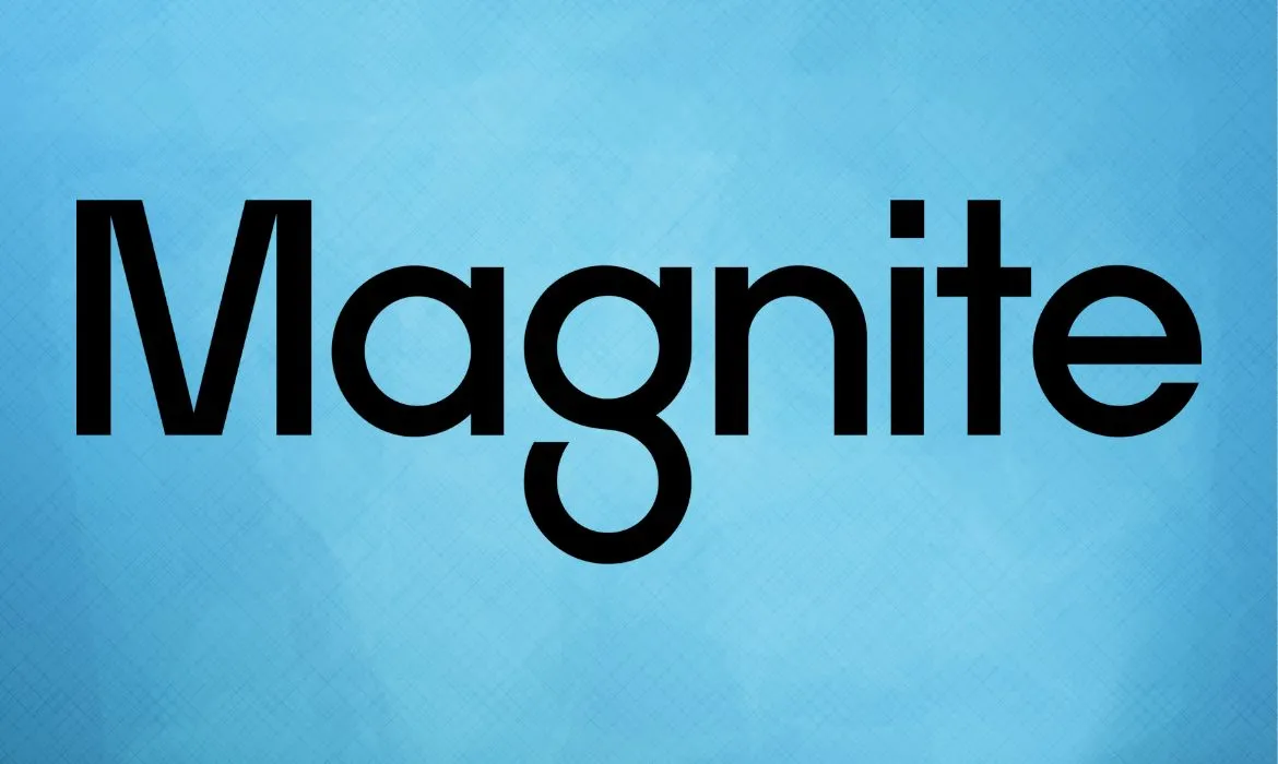 Magnite, SpringServe, video advertising, Yomiuri Telecasting Corporation, YTV, ad tech, ad serving, digital advertising,