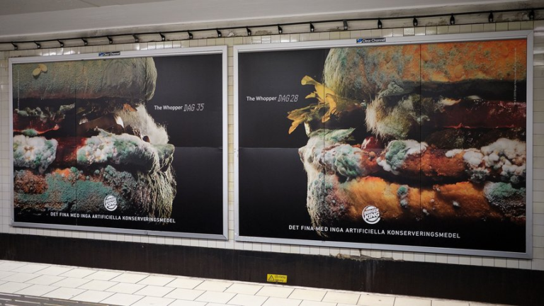 burger-king-shows-moldy-whopper-in-new-ad-campaign-fox-business